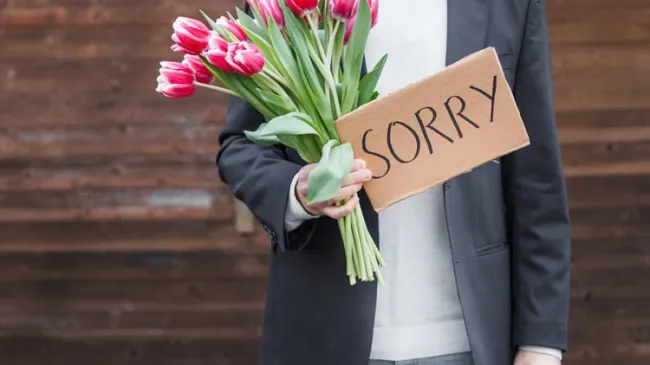 apology